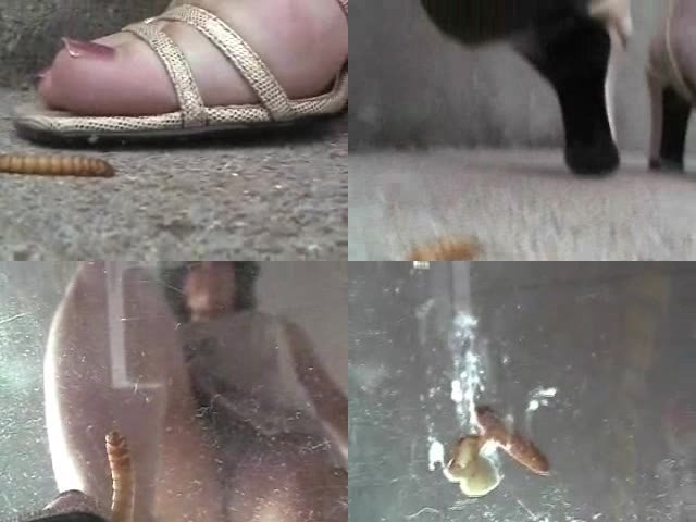 best of Bug barefoot