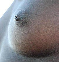 best of Bottles nipples